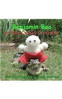 Benjamin Boo and the Cranky Crocodile