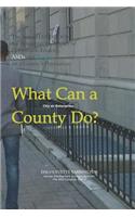 What Can a County [City or Enterprise] Do?