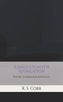 Simulation For Assimilation