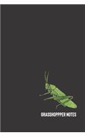 Grasshopper Notes
