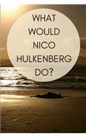 What Would Nico Hulkenberg Do?