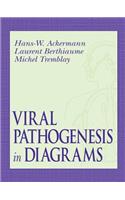 Viral Pathogenesis in Diagrams