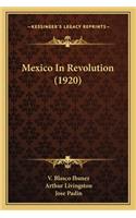 Mexico in Revolution (1920)
