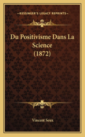Du Positivisme Dans La Science (1872): (French)