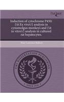 Induction of Cytochrome P450: {\It Ex Vivo\/} Analysis in Cynomolgus Monkeys and {\It in Vitro\/} Analysis in Cultured Rat Hepatocytes