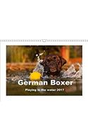 German Boxer / UK-Version 2017