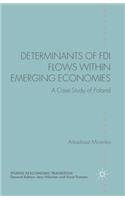 Determinants of FDI Flows Within Emerging Economies