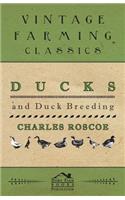Ducks and Duck Breeding