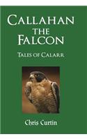 Callahan the Falcon