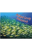 Animal Group Behaviour