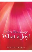 Life's Blessings: What a Joy!(English)