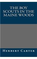 The Boy Scouts in the Maine Woods: (English)
