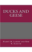 Ducks and Geese