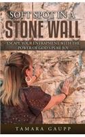 Soft Spot in a Stone Wall