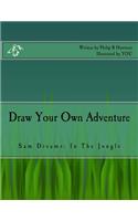 Draw Your Own Adventure Sam Dreams