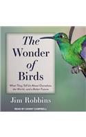 The Wonder of Birds