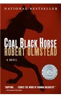 Coal Black Horse