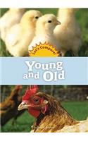 Young and Old