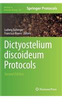 Dictyostelium Discoideum Protocols