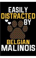 Easily Distracted by Belgian Malinois