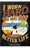 I Work Hard So My Dog Can Have A Better Life