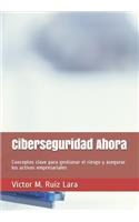 Ciberseguridad Ahora