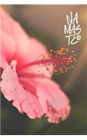 Namaste Bloom Series