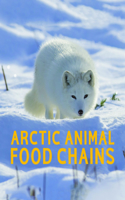 Arctic Animal Food Chains