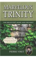 Marvelous Trinity, the Believer's Hope and Delight