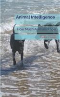 Animal Intelligence