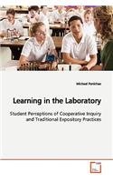 Learning in the Laboratory