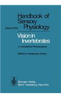 Comparative Physiology and Evolution of Vision in Invertebrates