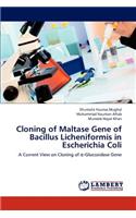 Cloning of Maltase Gene of Bacillus Licheniformis in Escherichia Coli