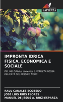 Impronta Idrica Fisica, Economica E Sociale