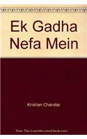 Ek Gadha Nefa Mein