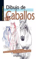 Dibujo de caballos: 1
