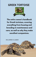 Greek Tortoise