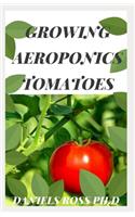 Growing Aeroponics Tomatoes