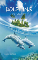 Dolphins Calendar 2021