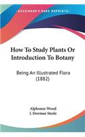 How To Study Plants Or Introduction To Botany
