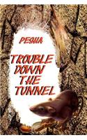 Trouble down the tunnel