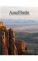 AmaBhulu - The Birth and Death of the Second America
