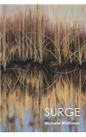 Surge