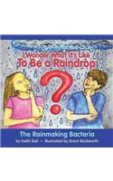 I Wonder What it's Like To Be a Raindrop