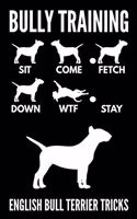 Bully Training - English Bull Terrier Tricks