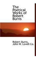 The Poetical Works of Robert Burns
