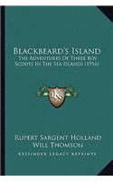 Blackbeard's Island: The Adventures Of Three Boy Scouts In The Sea Islands (1916)(English)