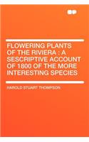 Flowering Plants of the Riviera: A Sescriptive Account of 1800 of the More Interesting Species
