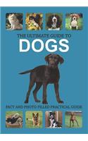 The Ultimate Guide to Dogs