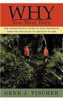 Why You Were Born